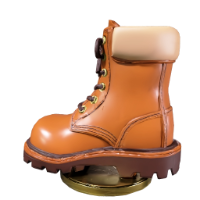 The Boot token
